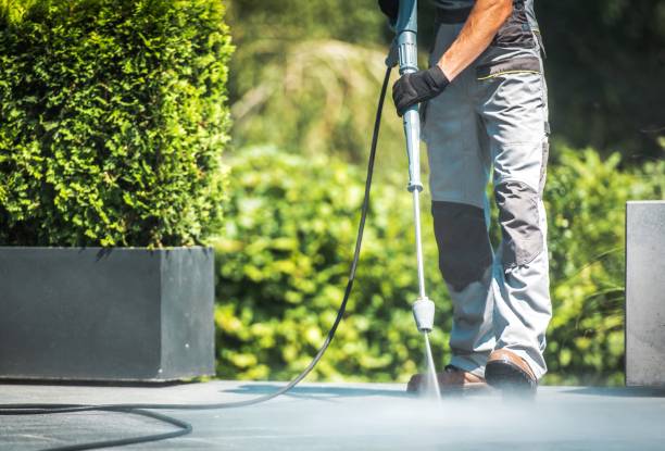 Reliable Val Verde Park, TX Pressure washing Solutions